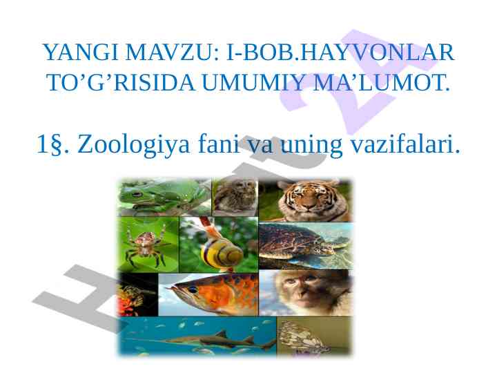 Hayvonlar to‘g‘risida umumiy ma’lumotlar
