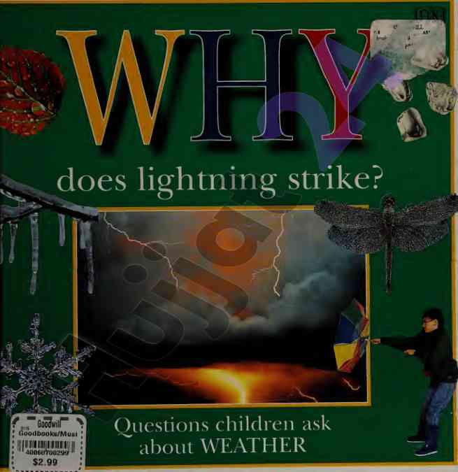 Lightning strike and its impact on nature