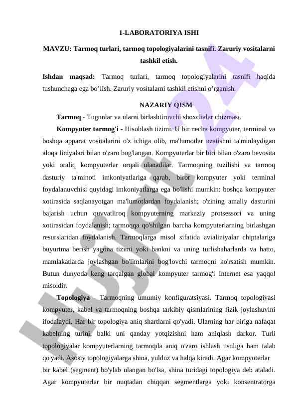 Tarmoq turlari va topologiyalarini tasnifi