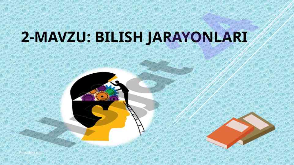 Sezgi va idrok jarayonlari tushunchasi