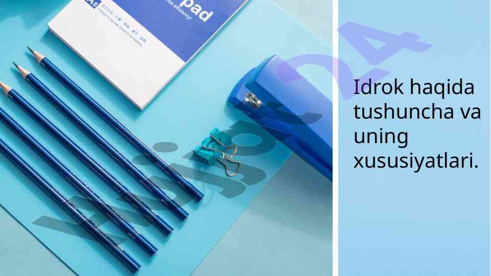 Idrok haqida tushuncha va xususiyatlari