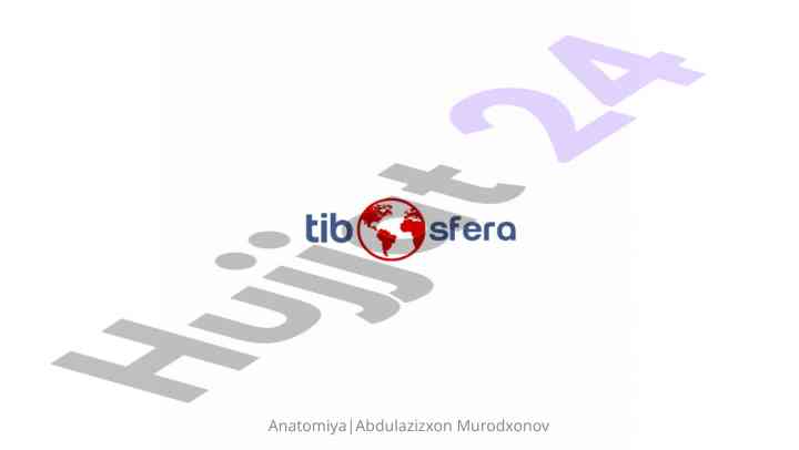 Osteologiya va anatomiyaga kirish asoslari