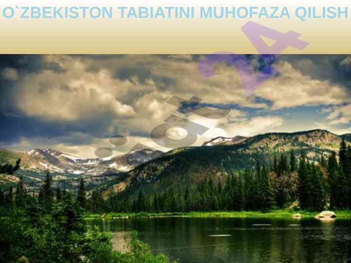 O'zbekiston tabiatini muhofaza qilish rejasi