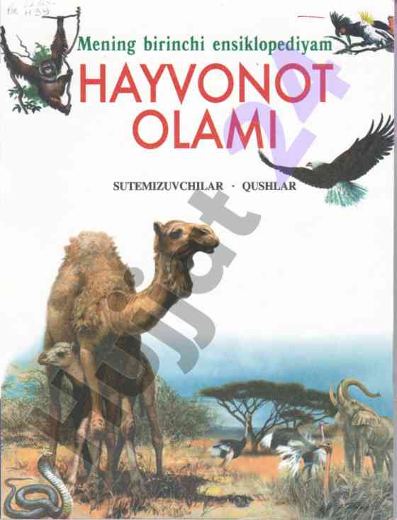 Hayvonot olami: sutemizuvchilar taqdimoti