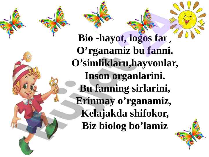 Hayvonot dunyosini o‘rganish dars ishlanmasi