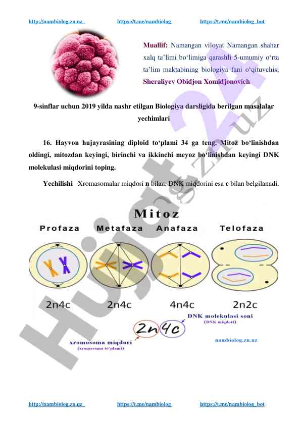 Biologiya darsligi mitoz va meyoz masalalari