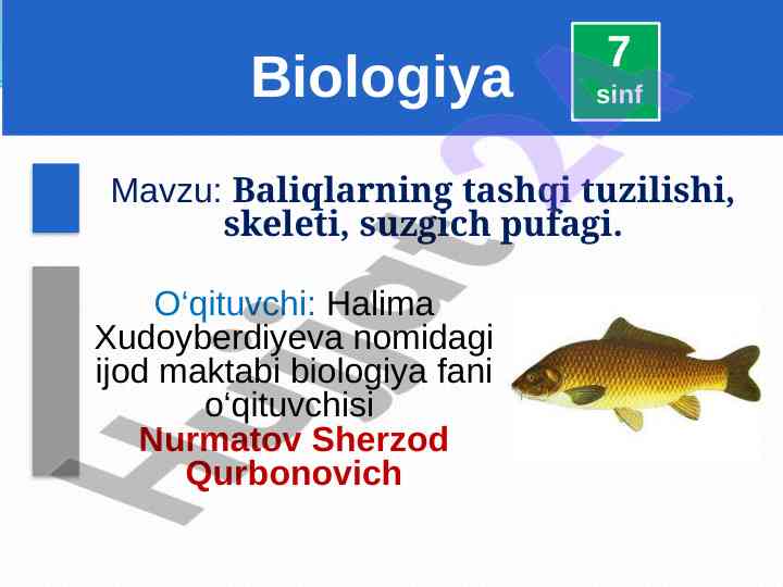 Baliqlarning tashqi tuzilishi va skeleti