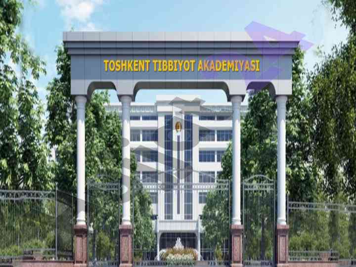 Buyrak usti bezlari - joylashishi va tuzilishi
