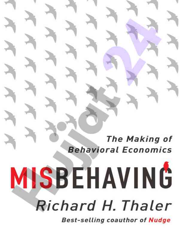Misbehaving in economics: key concepts and insights