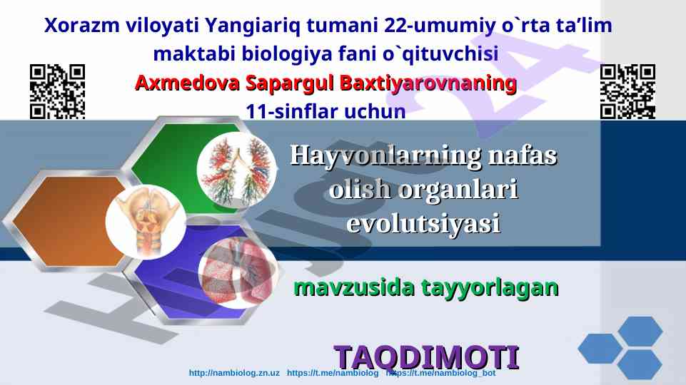 Hayvonlarning nafas olish organlari evolutsiyasi