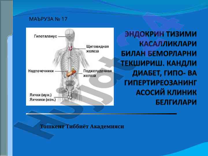 Ichki sekretsiya bezlari va hormonal faoliyat