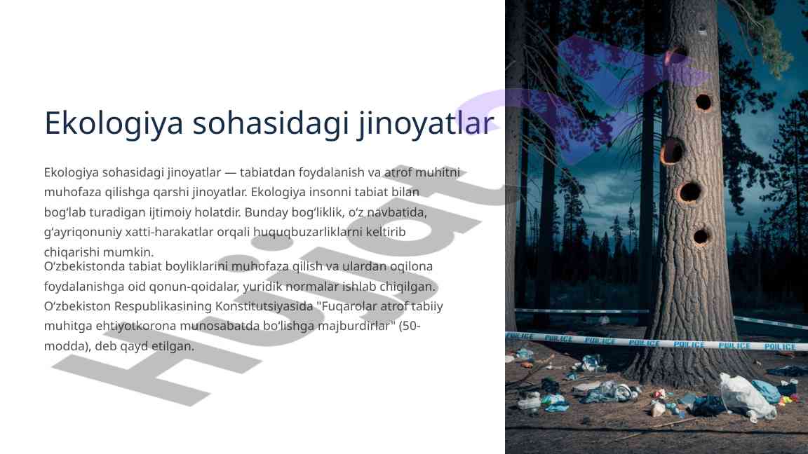 Ekologiya Sohasidagi Jinoyatlar Tahlili