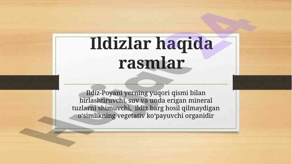 Ildizlar haqida rasmlar va ularning foydalari