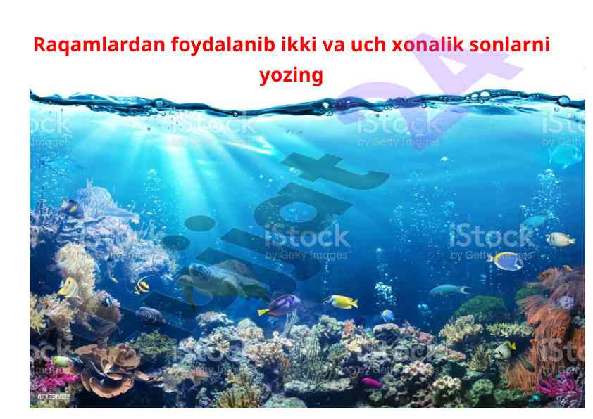 Ikki va uch xonalik sonlarni yozish