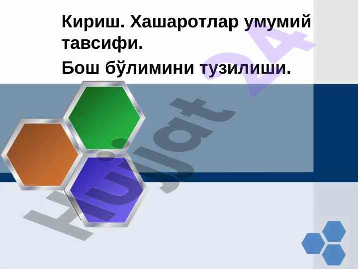 Ҳашаротлар тузилиши ва морфологияси кўриб чиқиш