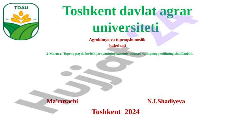 Tuproq paydo bo'lish jarayoni va profilining shakllanishi