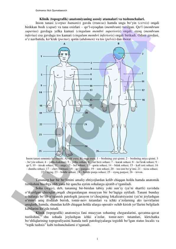Klinik anatomiyaning asosiy atamalari va tushunchalari