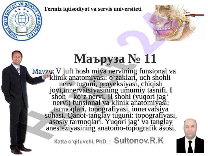 Funcional va klinik anatomiyasi v juft bosh miya nervlari