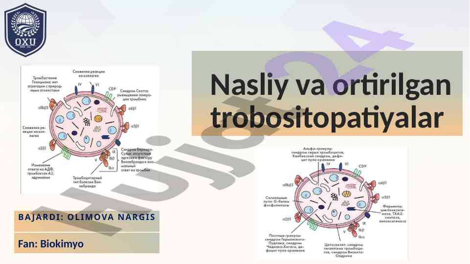Nasliy va ortirilgan trobositopatiyalar haqida ma'lumot