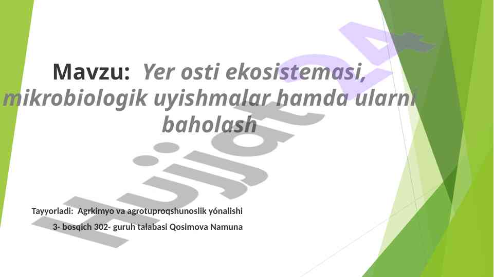 Yer ostin ekosistemasi va mikrobiologik uyishmalar