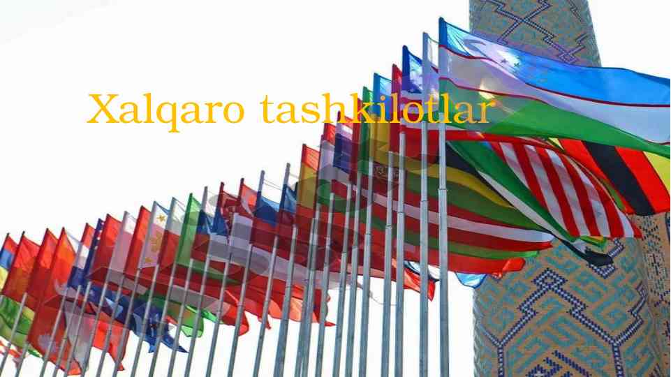 Xalqaro tashkilotlar haqida umumiy ma'lumotlar