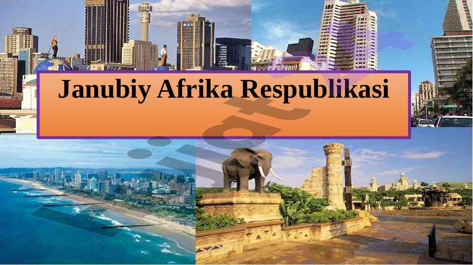 Janubiy afrika respublikasi: iqtisodiy va tabiy resurslar