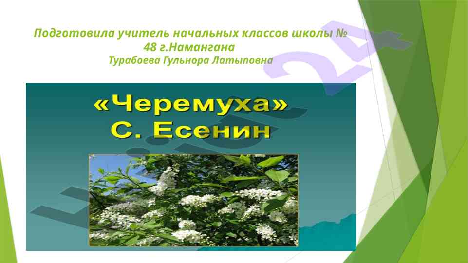 Проверка домашнего задания по весенней сказке