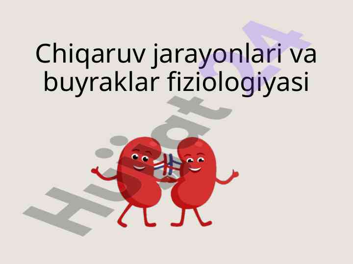Chiqaruv jarayonlari va buyraklar fiziologiyasi