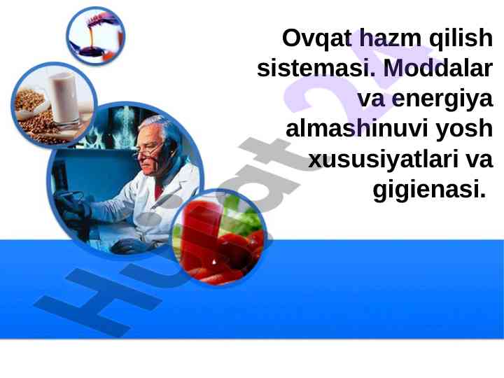 Ovqat hazm qilish tizimi va energiya almashinuvi