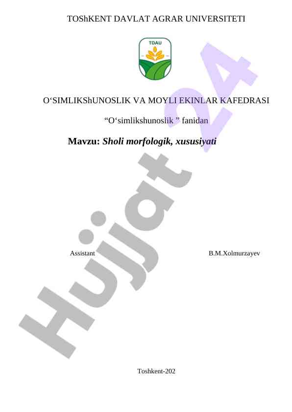 Sholi morfologiyasi va xususiyatlari