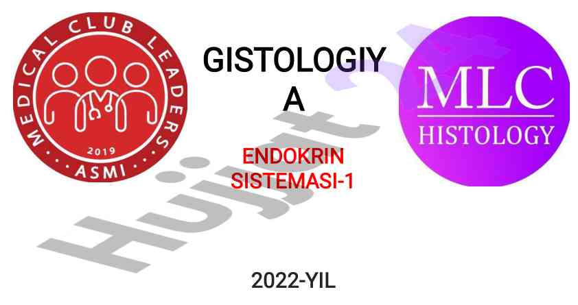 Gistologiya va endokrin sistemasini o'rganish