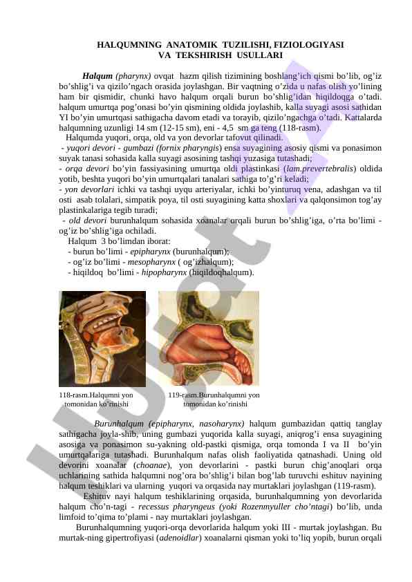 Halqum anatomik tuzilishi va fiziologiyasi