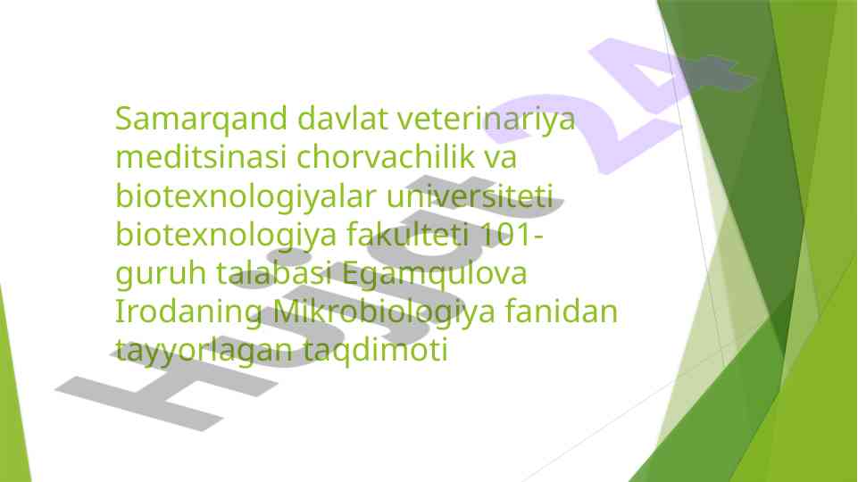 Zamburug’larning sanoat va qishloq xo’jaligidagi ahamiyati