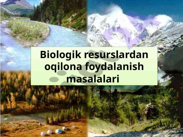 Biologik resurslardan foydalanish masalalari
