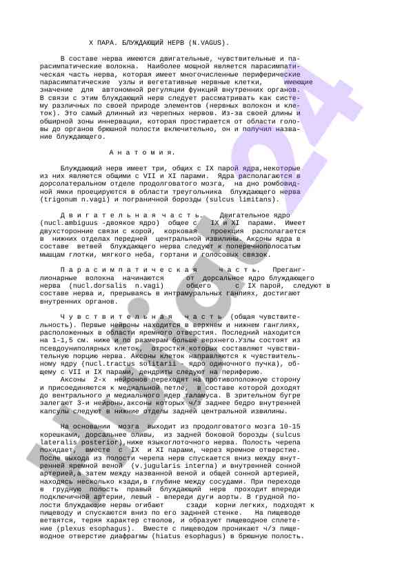 X пара блуждающий нерв функции и структура