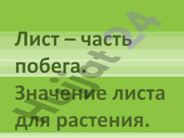 Pobeg va pochka vektorial voshchik kuschyeniya