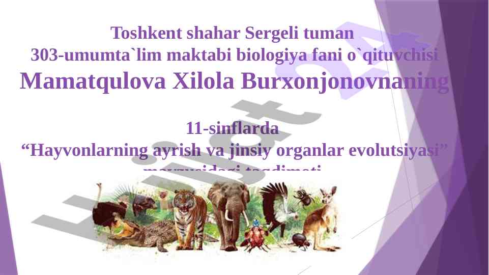 Hayvonlarning ayrish va jinsiy organlar evolutsiyasi