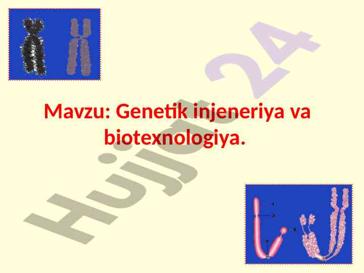 Genetik injeneriya va biotexnologiya asoslari