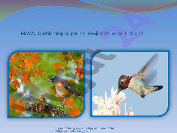Qushlarning ko`payishi va rivojlanishi