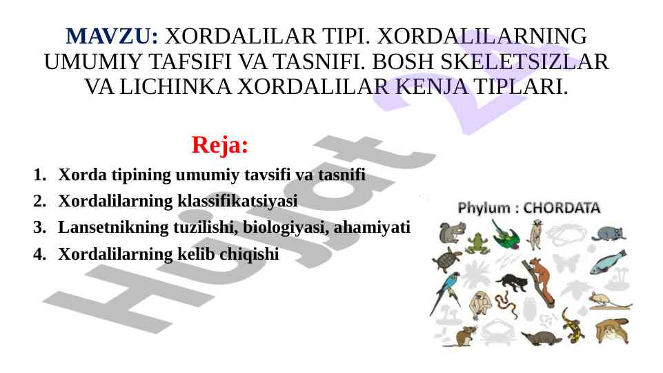 Xordalilar tipi va ularning tasnifiga oid ma'lumotlar