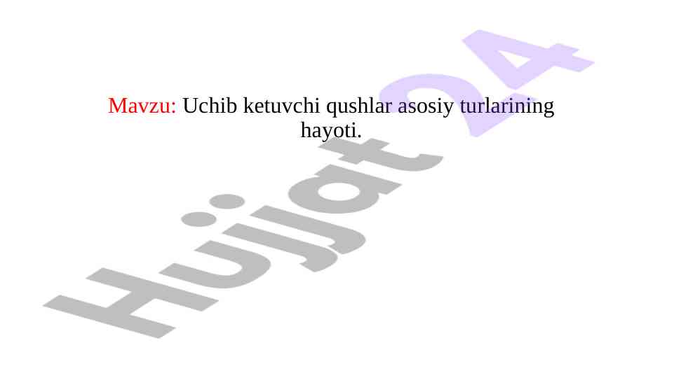 Uchib ketuvchi qushlar asosiy turlarining hayoti