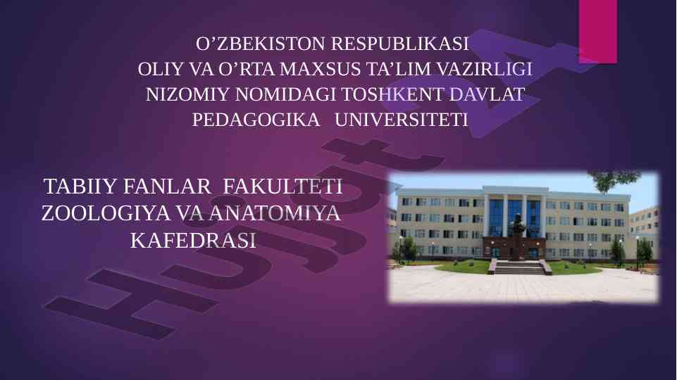 Toshkent hayvonot bog’idagi lochinsimonlar mavzusi
