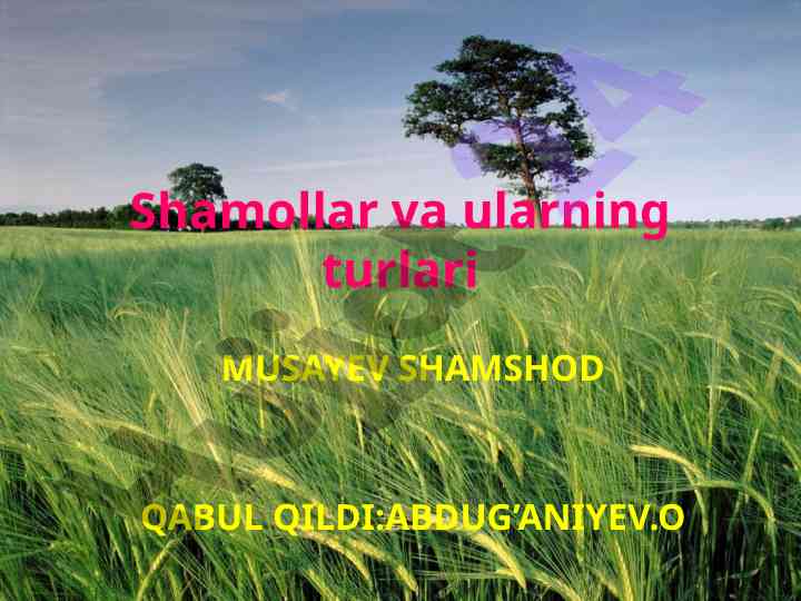 Shamollar va ularning turlari haqida ma'lumot