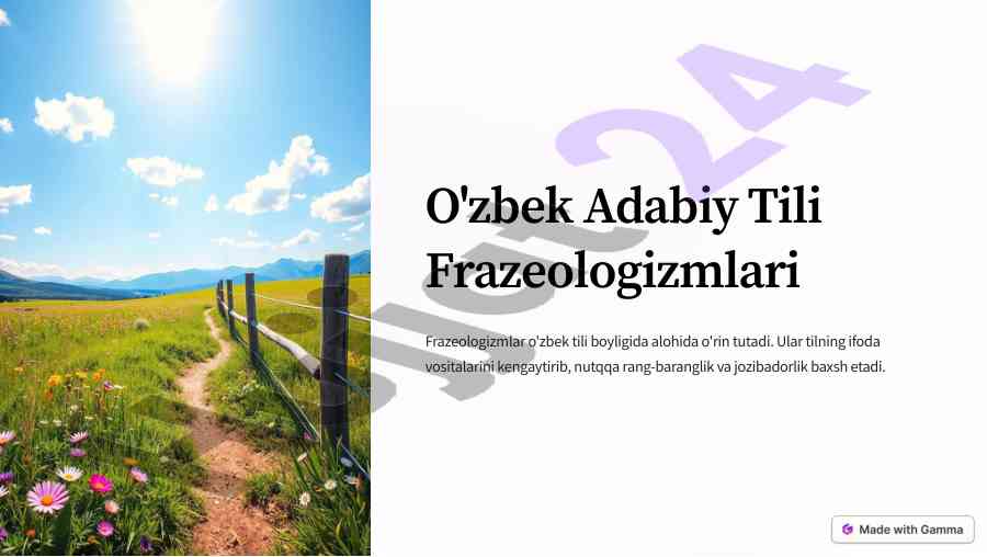 O'zbek adabiy tilida frazeologizmlarning o'rni