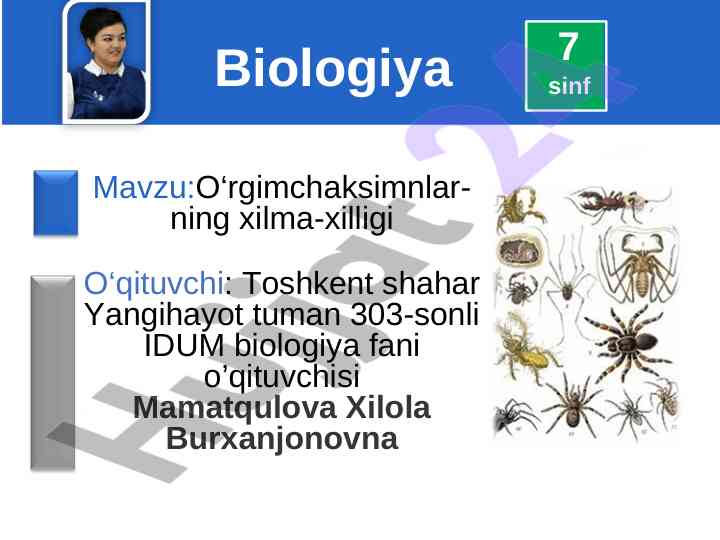 O‘rgimchaksimnlar xilma-xilligi haqida ma’lumot