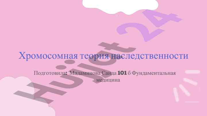 Хромосомная теория наследственности