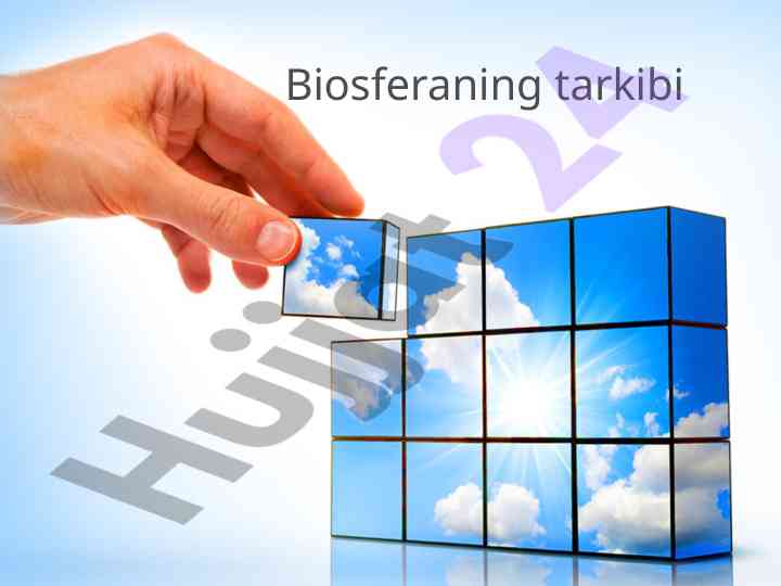 Biosferaning tarkibi va tirik modda tasnifi