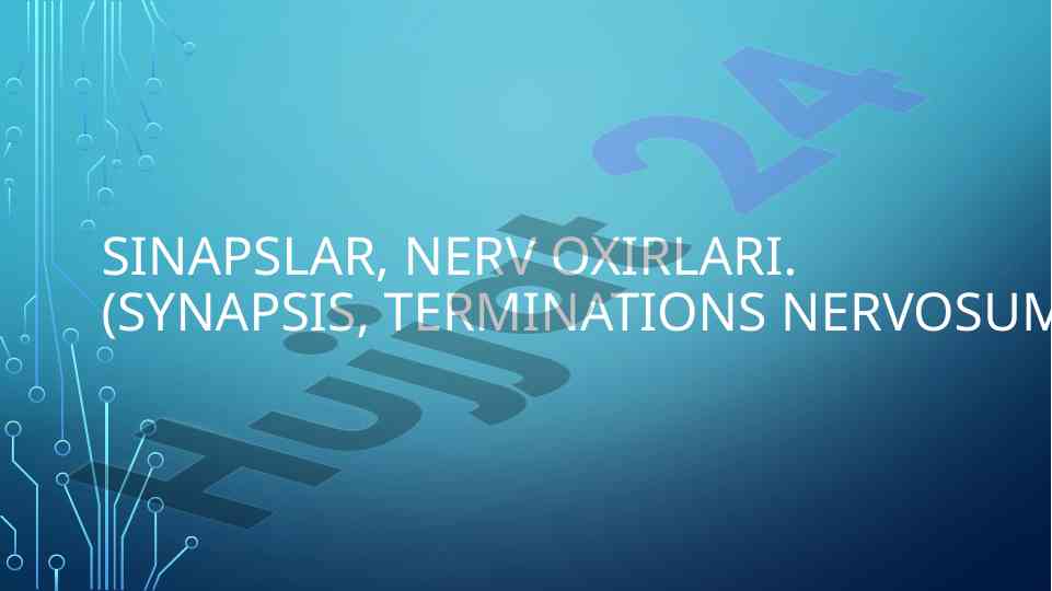 Neyronlararo sinapslar va ularning turlari