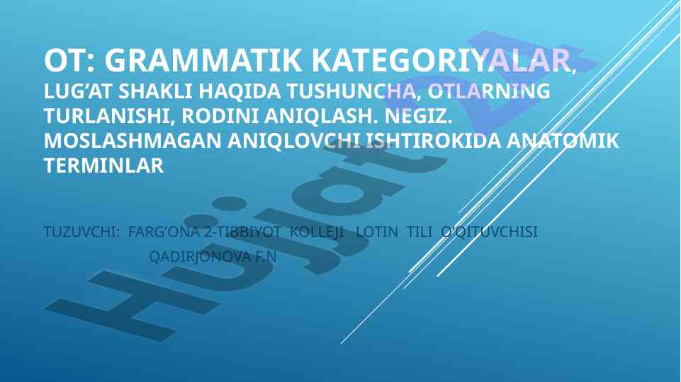 Ot grammatik kategoriyalari va lug‘at shakli