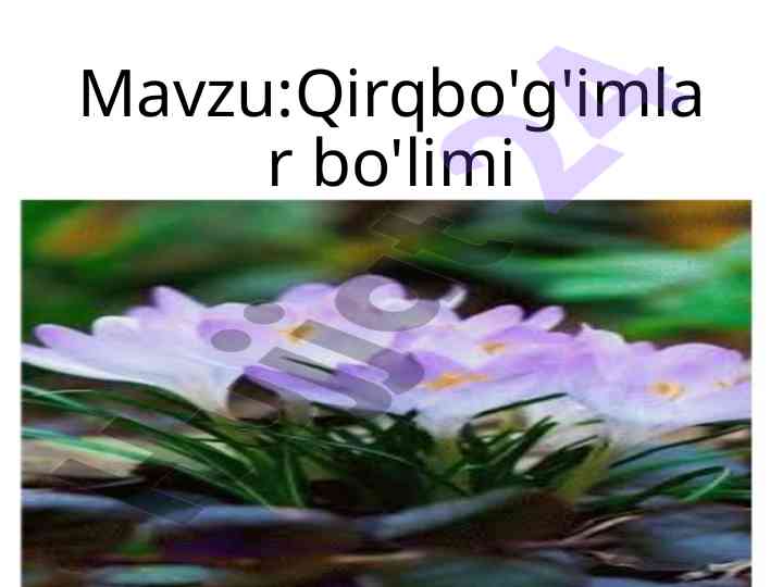 Qirqbo'g'imlar bo'limi o'tilgan mavzuni takrorlash